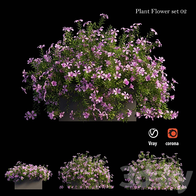 Plant Flower set 02 3DSMax File - thumbnail 1
