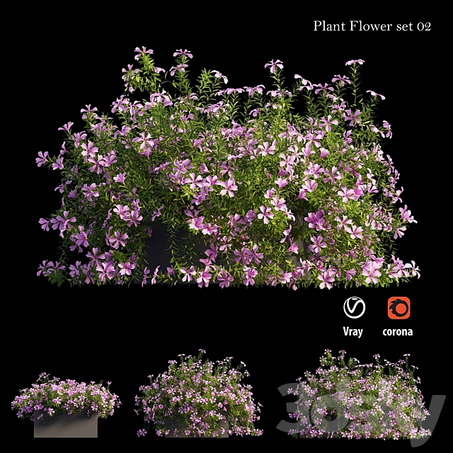 Plant Flower set 02 3DSMax File - thumbnail 2