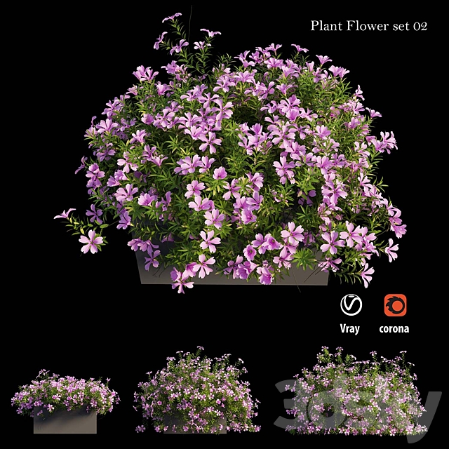 Plant Flower set 02 3DSMax File - thumbnail 3