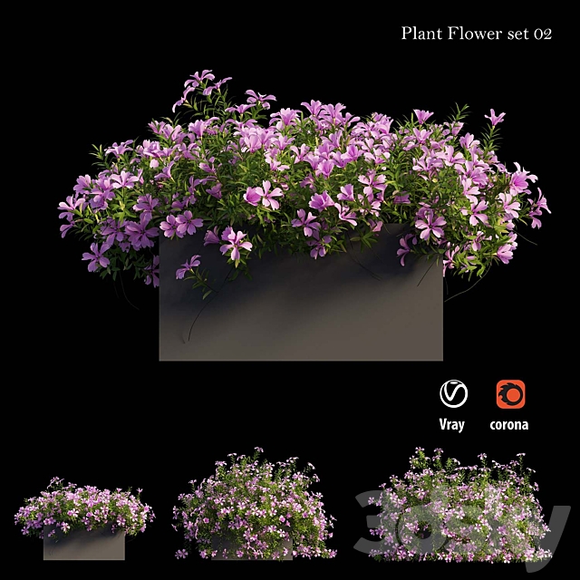 Plant Flower set 02 3DSMax File - thumbnail 4