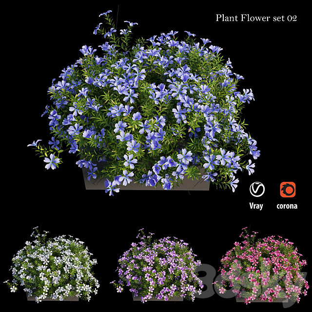 Plant Flower set 02 3DSMax File - thumbnail 5