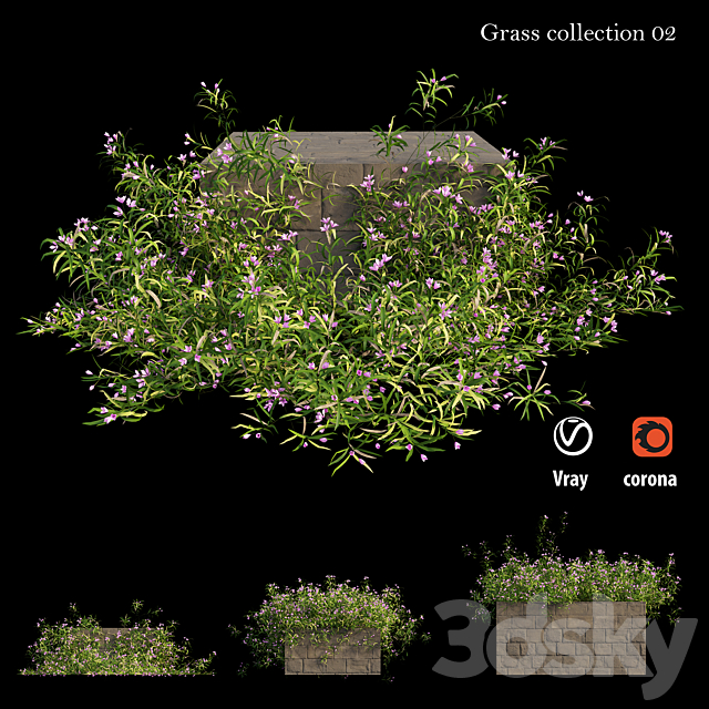 Grass collection 02 3DSMax File - thumbnail 1