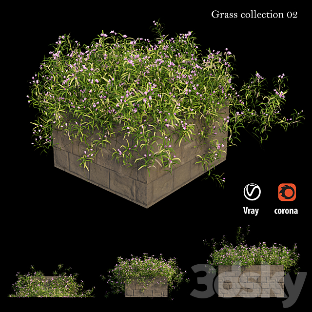 Grass collection 02 3DSMax File - thumbnail 2