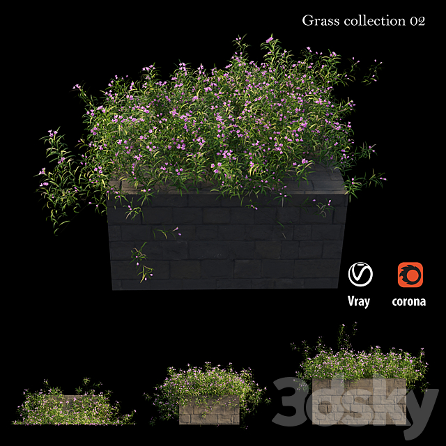Grass collection 02 3DSMax File - thumbnail 3