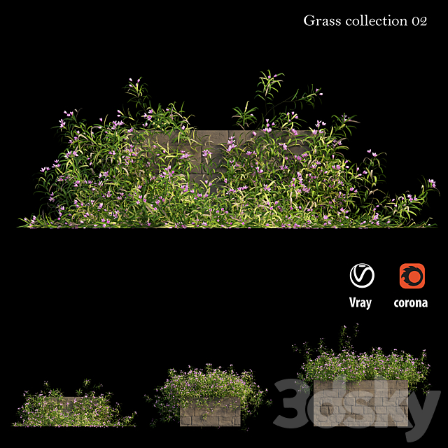Grass collection 02 3DSMax File - thumbnail 4