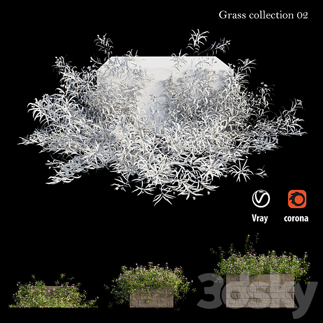 Grass collection 02 3DSMax File - thumbnail 5