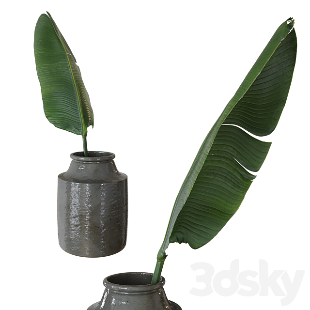 Decorative set Real World 3dskyfree