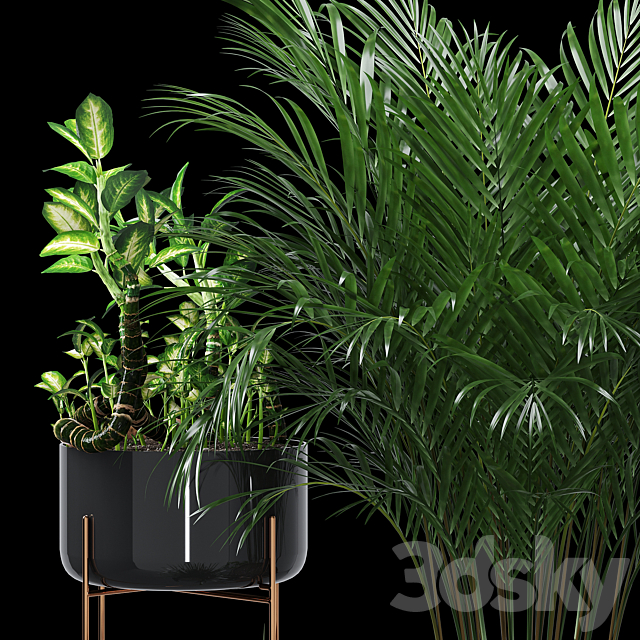 3dsky Free Download