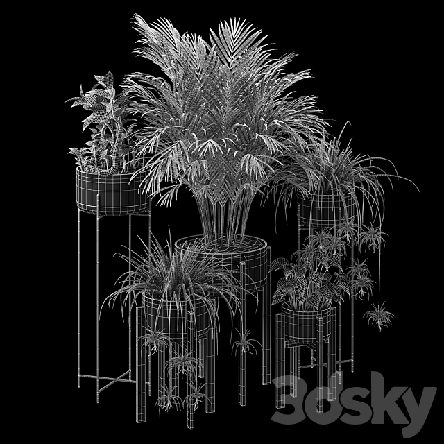 3dsky