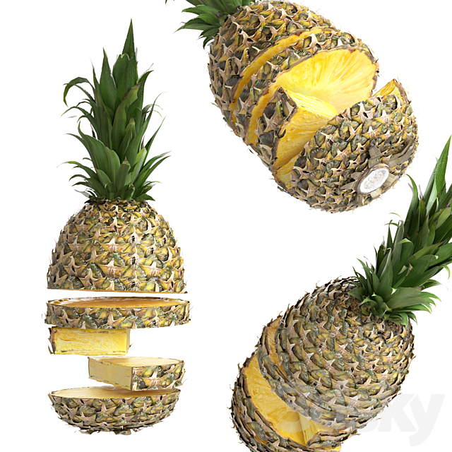 Sliced pineapple 3DSMax File - thumbnail 4