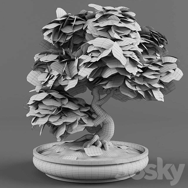 Bonsai japanese maple decorative tree 3DSMax File - thumbnail 4