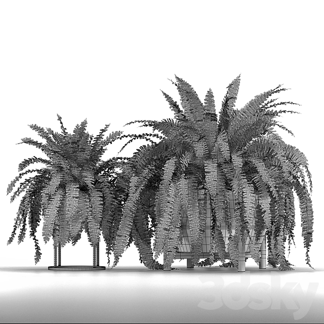 Set of plants No. 3 (Areca palm. fern) 3DSMax File - thumbnail 5