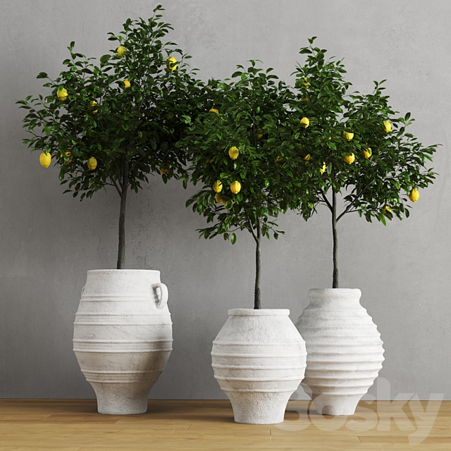 Lemons in clay pots 3DSMax File - thumbnail 1