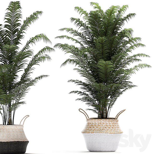 3dsky Free Download
