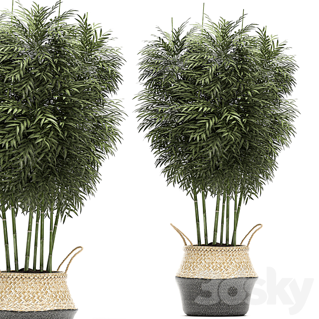 3dsky