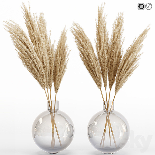 Big dried flower pampas grass in glass vase 6 3DSMax File - thumbnail 1