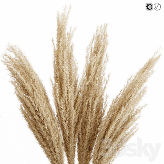 Big dried flower pampas grass in glass vase 6 3DSMax File - thumbnail 2