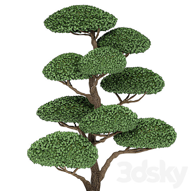 A collection of trees for the garden in classic outdoor pots with Topiary. bonsai. Nivaki. Set of 500. 3DSMax File - thumbnail 3