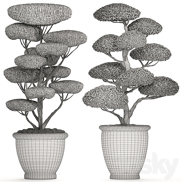 A collection of trees for the garden in classic outdoor pots with Topiary. bonsai. Nivaki. Set of 500. 3DSMax File - thumbnail 5