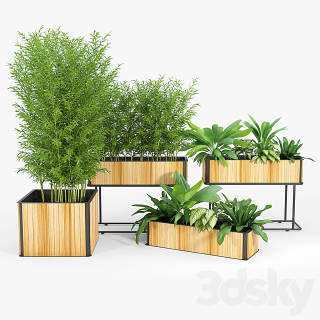 3d