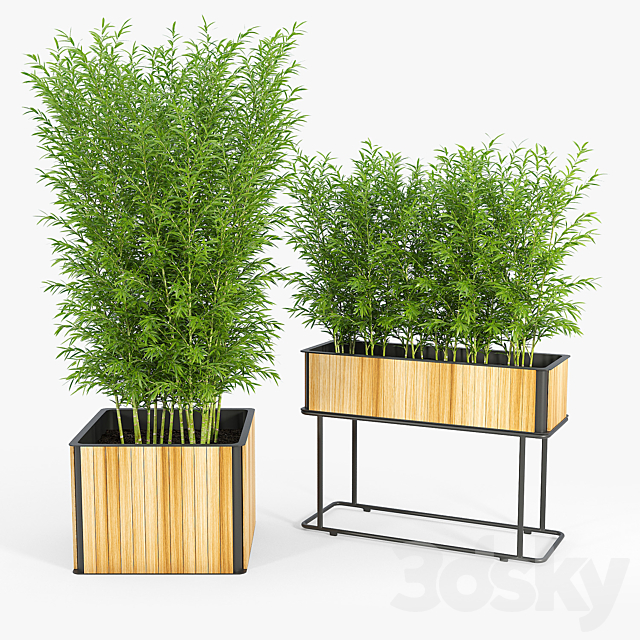 3dsky Free Download