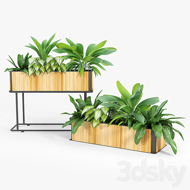 3dsky