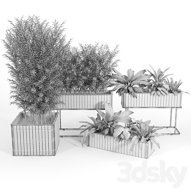 3dskyfree