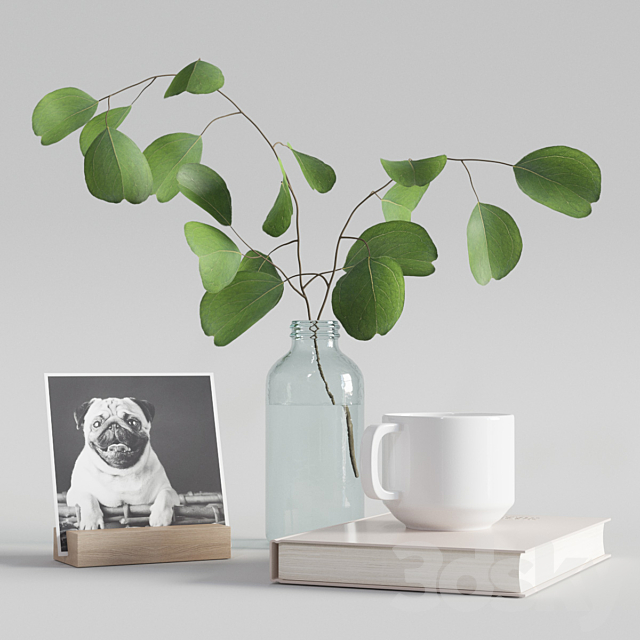 decorative set with eucalyptus branch 2 3DSMax File - thumbnail 1