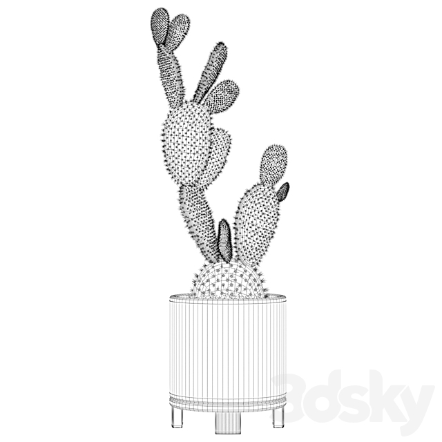 Plants collection 010 - Opuntia microdasys 01 3d