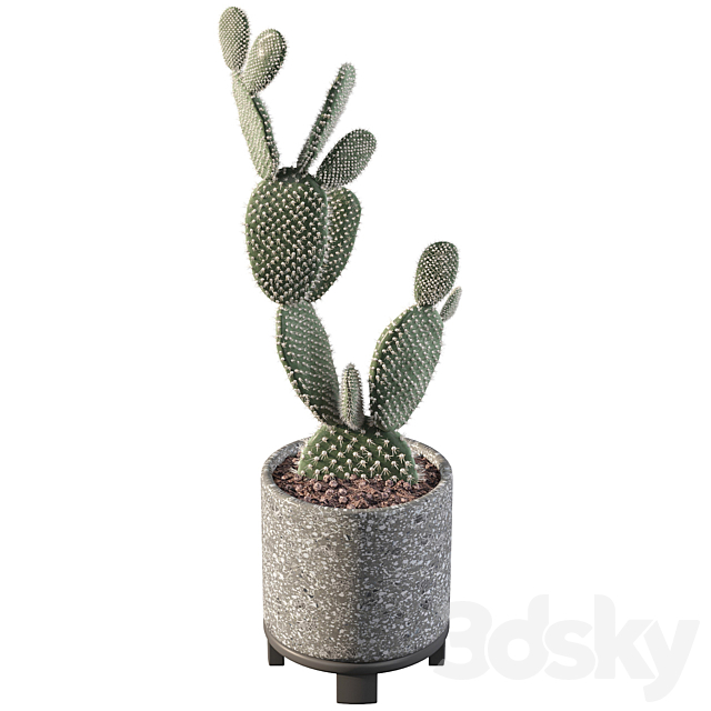 3dsky Free Download