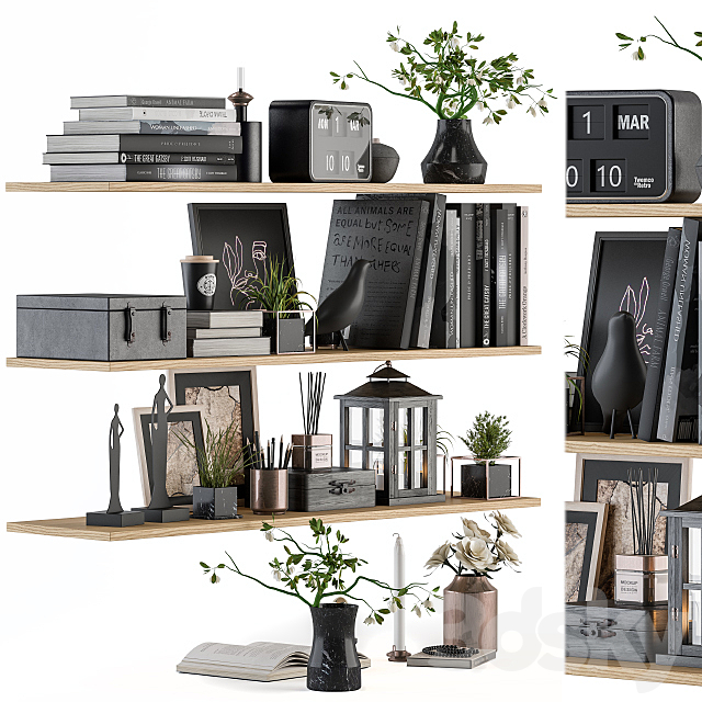 Decorative Set on Shelves 3dsky