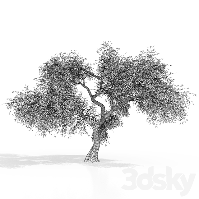 Green tree 2 3DSMax File - thumbnail 2
