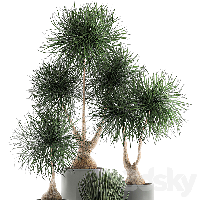 3dsky Free Download