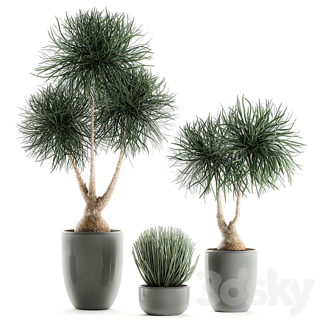 3dsky