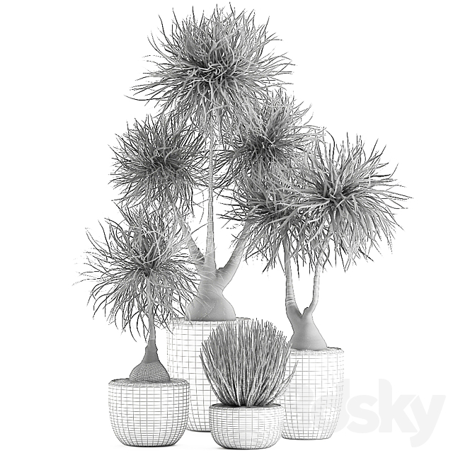 3dskyfree