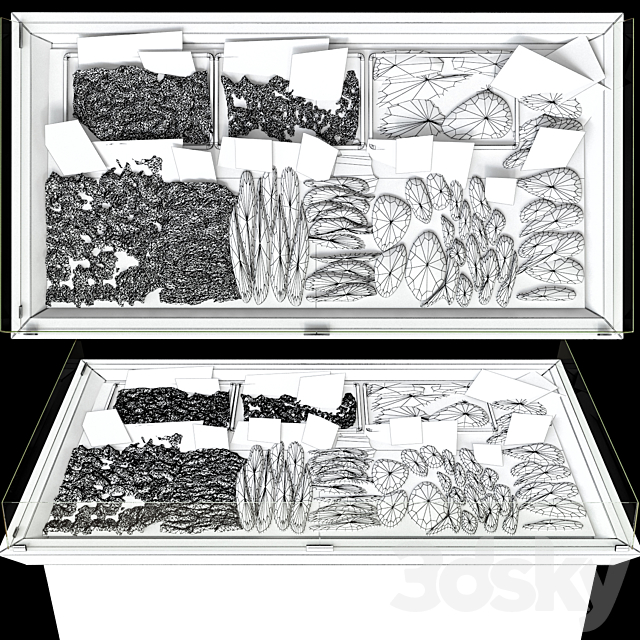 3d