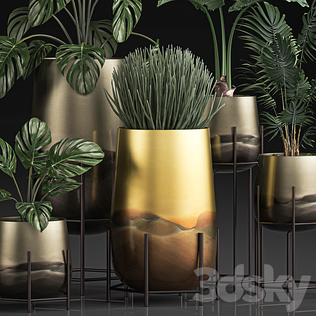 3dsky Free Download