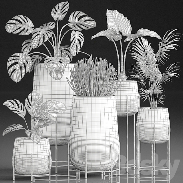 Collection of plants in luxury gold pots on legs with Monstera. palm. hovea. Alokasia. Sansevieria. Set 544. 3dskyfree