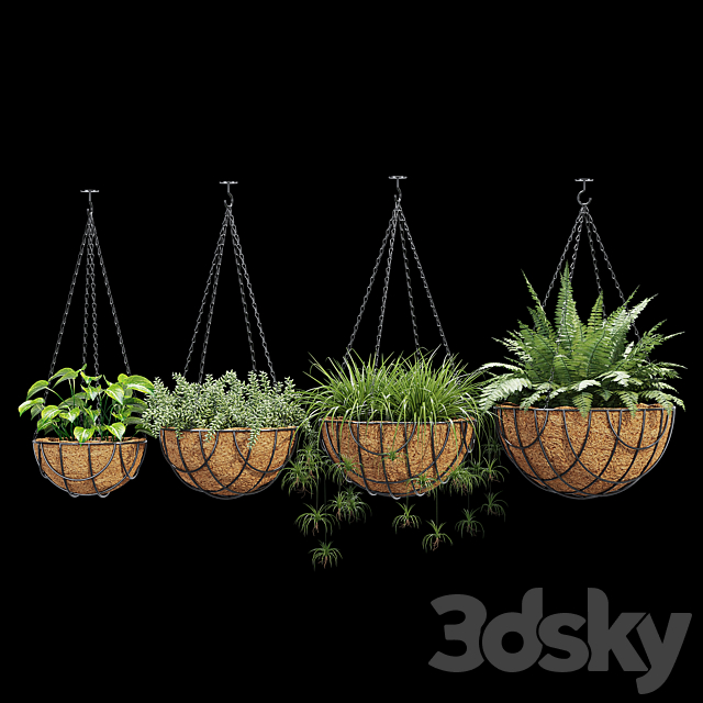 3d