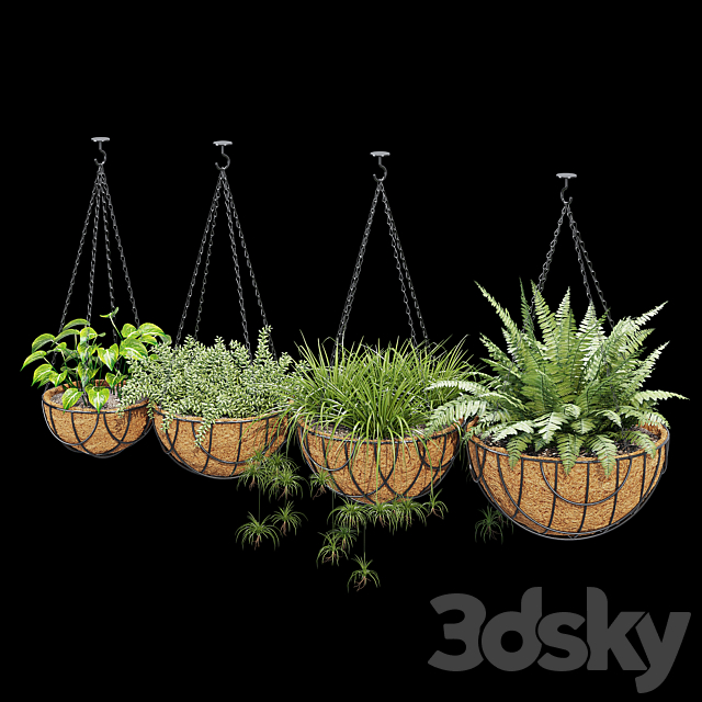 3dsky Free Download