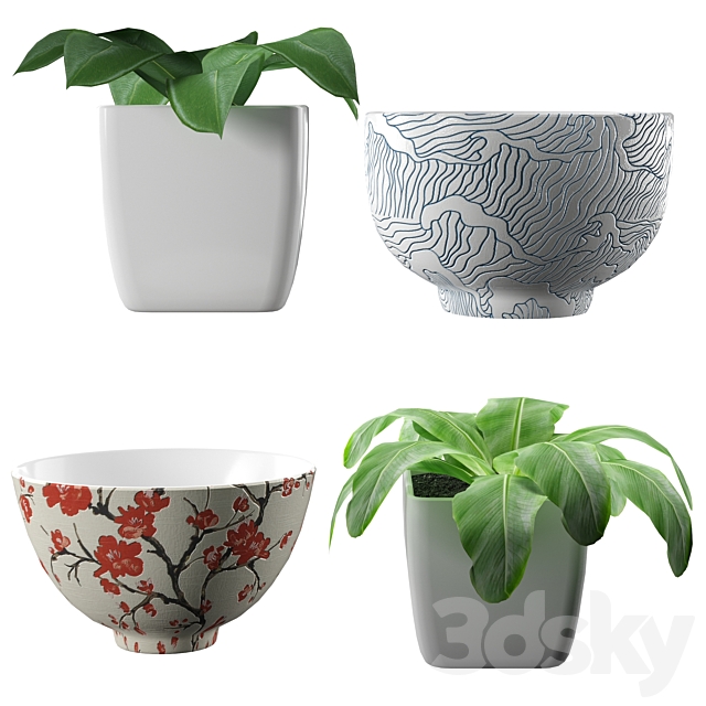 Japanese set-1 3d