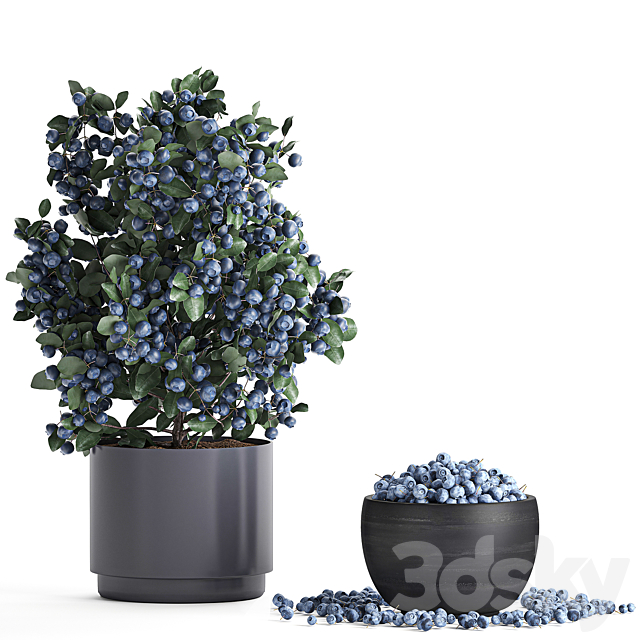 3dsky Free Download