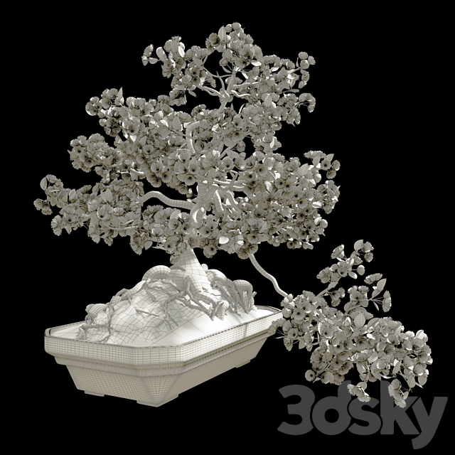 Bonsai Sakura 3d