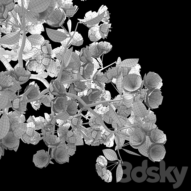 Bonsai Sakura 3dsky