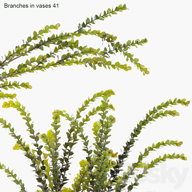 Branches in vases 41 3d