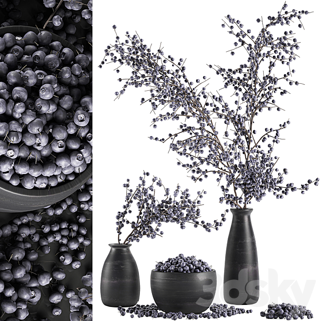 A collection of bouquets of branches with blueberries in black vases with blueberries. a bowl with berries. natural decor. Set 549. 3DSMax File - thumbnail 1