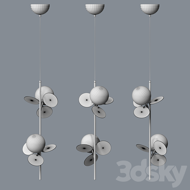 3d