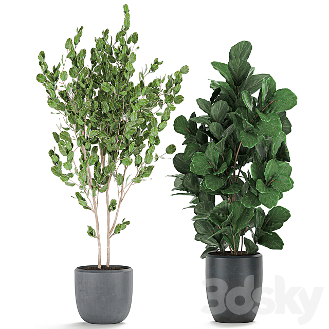 3dsky Free Download