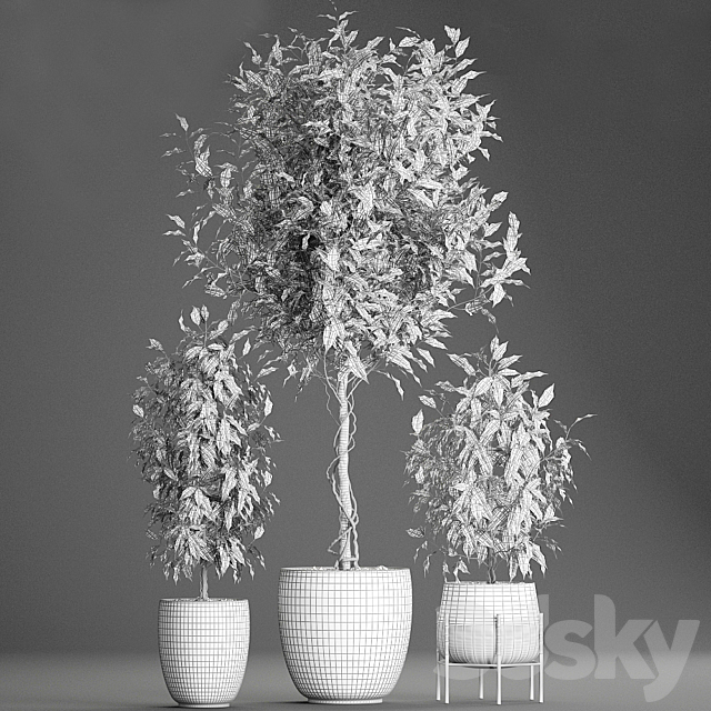 3dsky Free Download