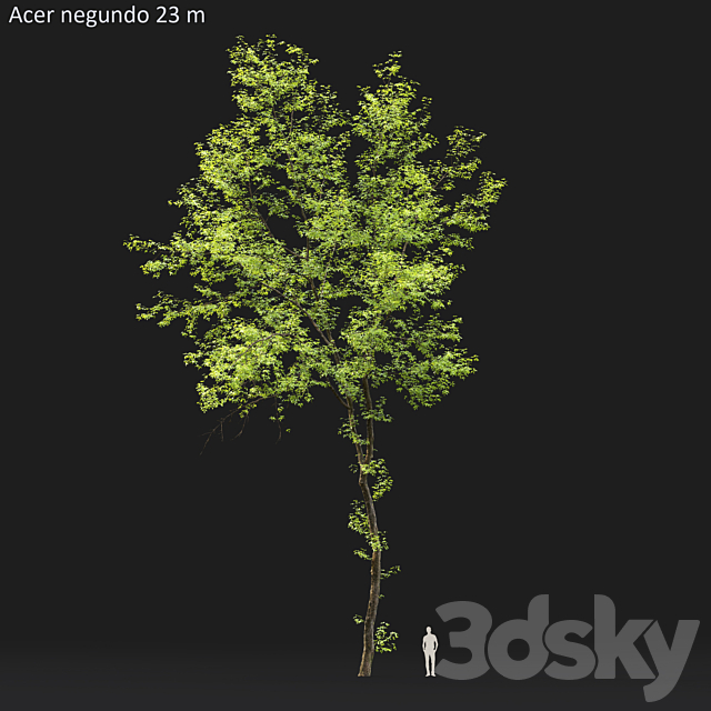 3dsky Free Download